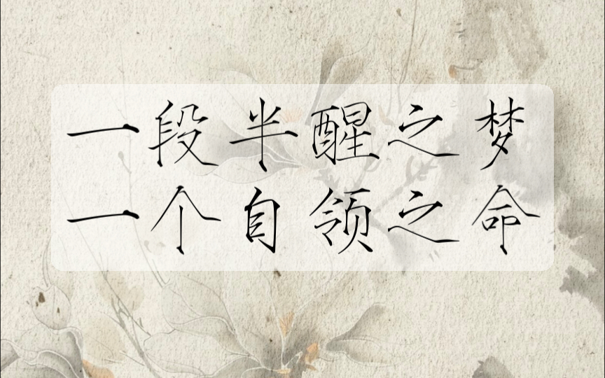 烟尘道远，不得不前？作为诗人的我依旧在明月照临之下