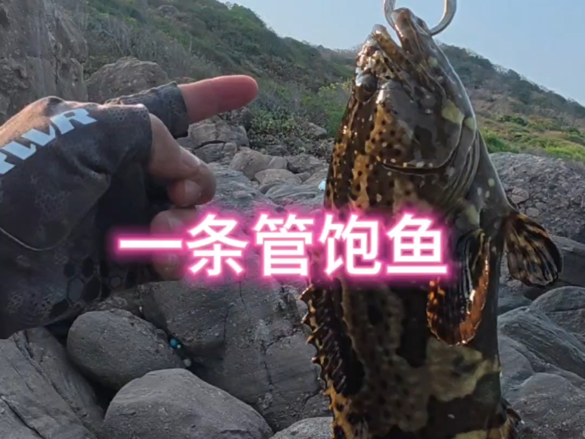 看最红的花，钓最凶的鱼。