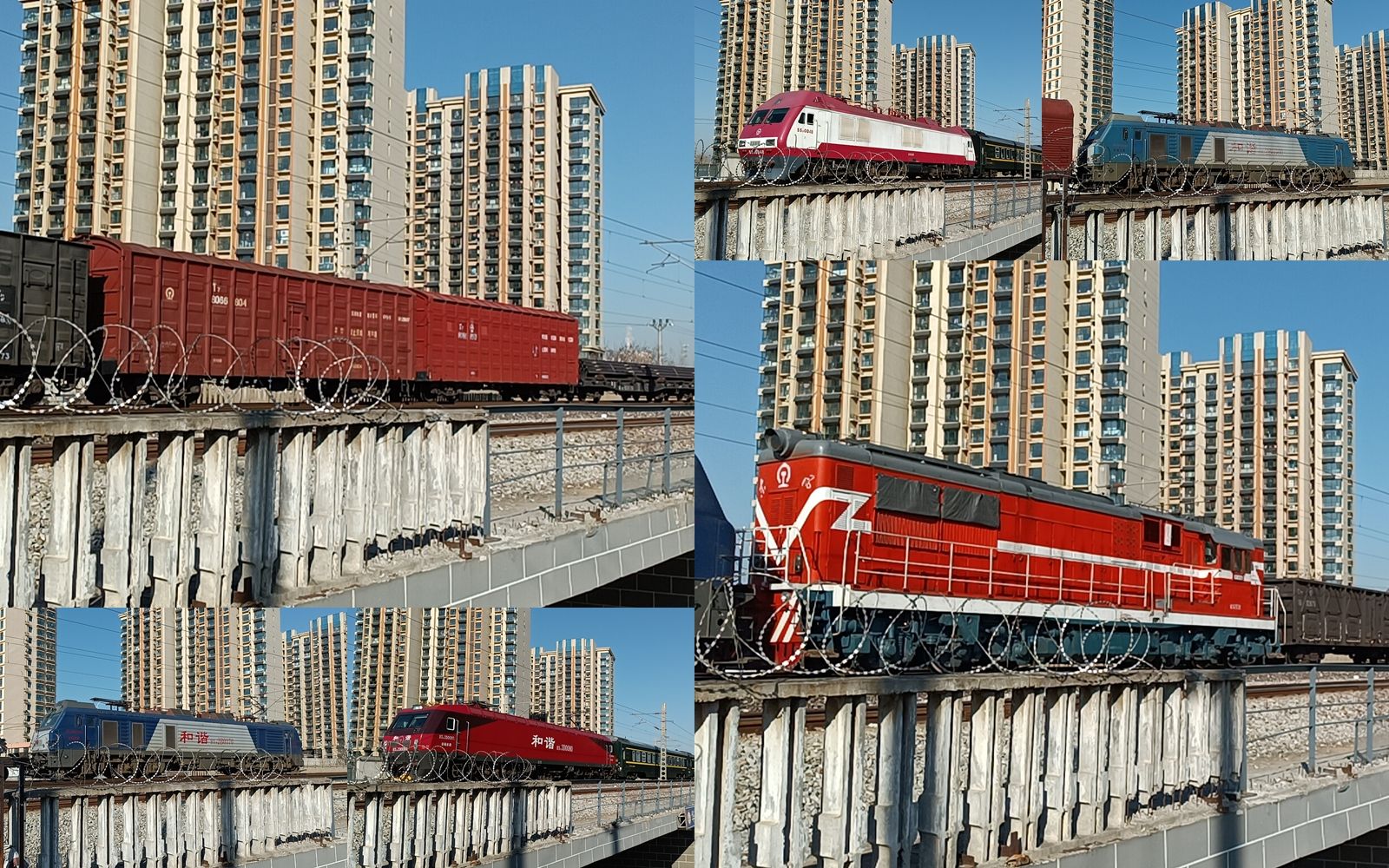 【拍火车】t7&df7