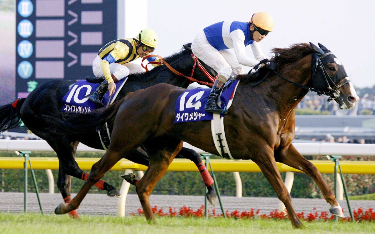 赛马2006年秋季天皇赏大和主将ダイワメジャー
