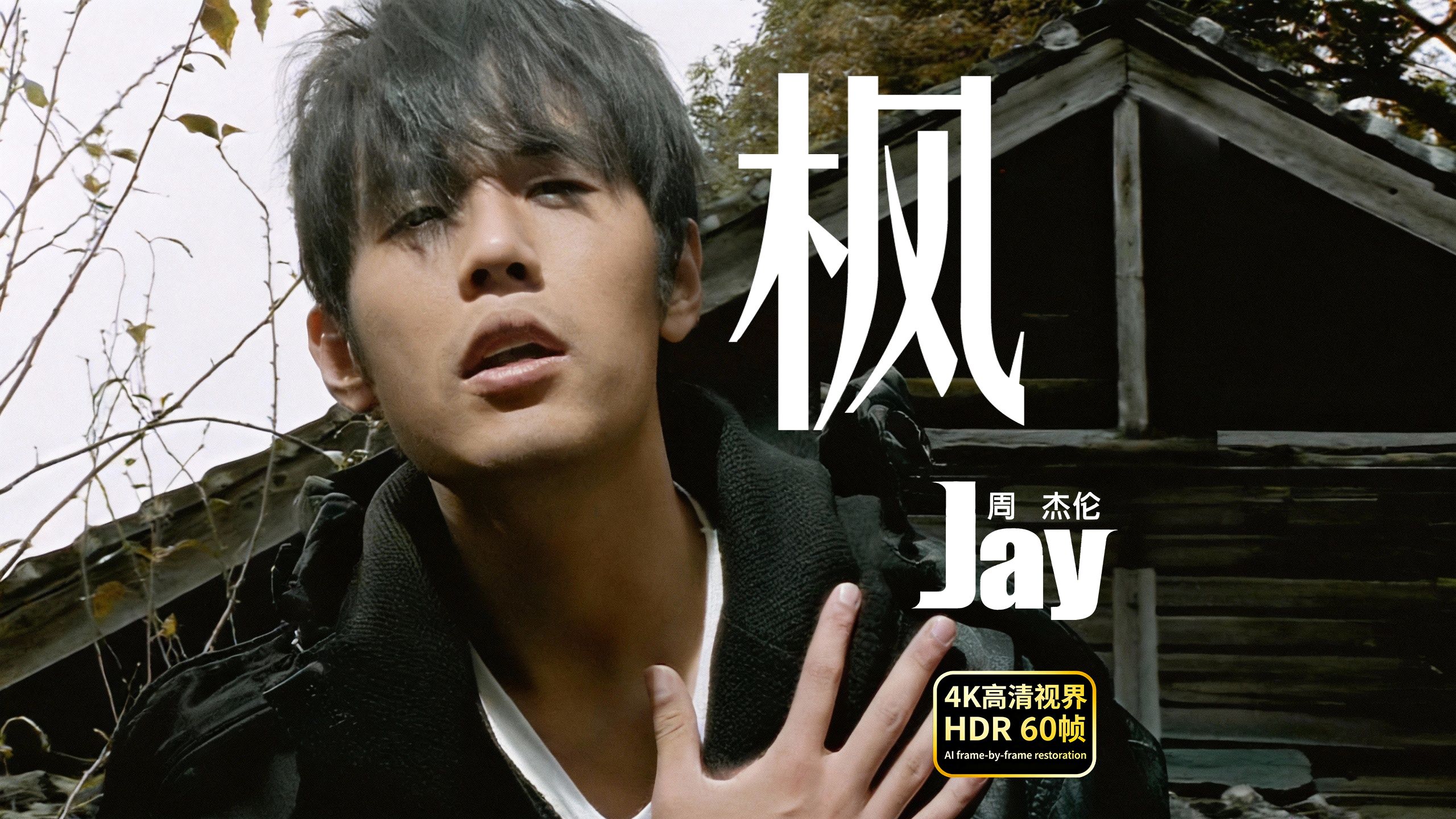 周杰伦JAY-枫【2026年最新-真正的4K高清视界逐帧修复60帧纯享版】“缓缓掉落的枫叶像思念...”