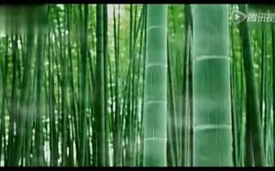 Download Video: 《竹林听雨》纯音乐