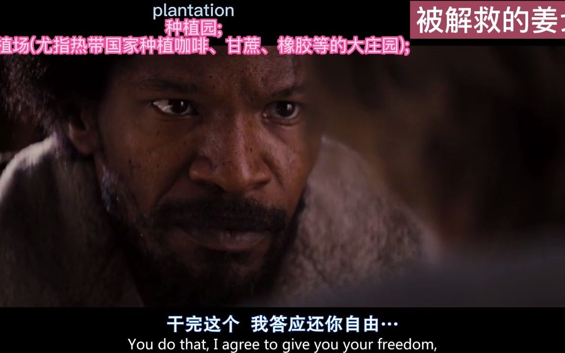 考研单词plantation哔哩哔哩bilibili