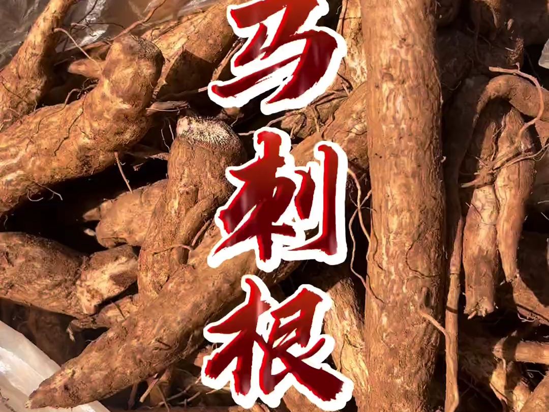 《街(gai)子学做菜-第30天》 炖汤好材料马刺根,一股特别的清爽和奶