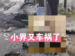 Download Video: 其他家出事就是车主问题，问界出事就是华为问题[允悲]，问界m5撞了羊群，到处都在发，500和想子撞死人全部静默了