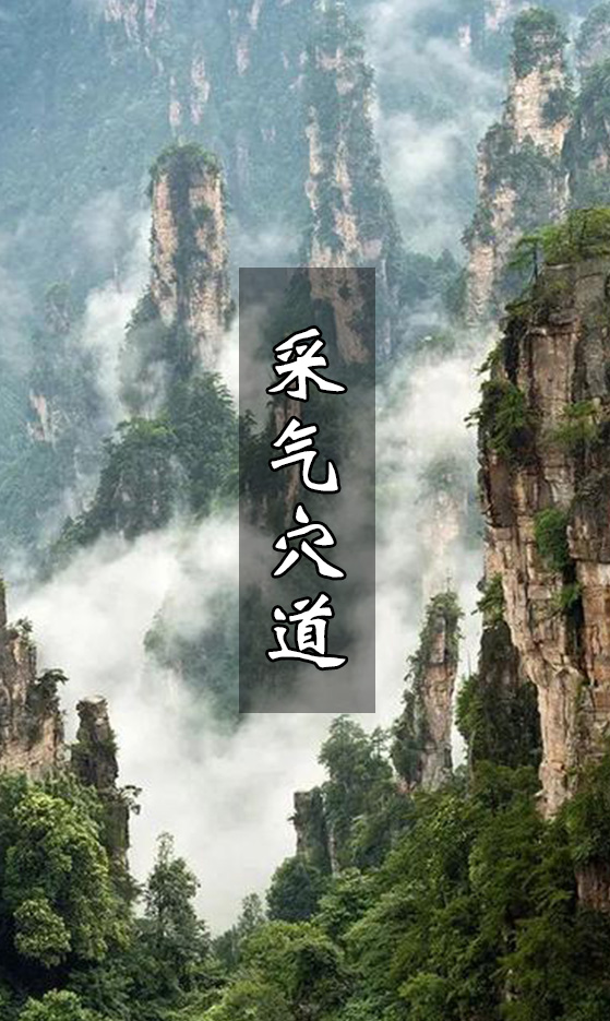 如何达到天人合一的境界