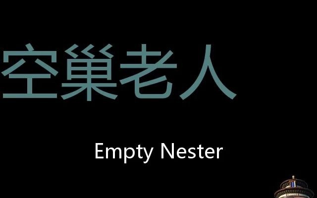 空巢老人 Chinese Pronunciation Empty nester哔哩哔哩bilibili