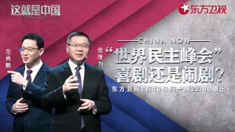 【纪录片】这就是中国 第129集 世界民主峰会 喜剧还是闹剧