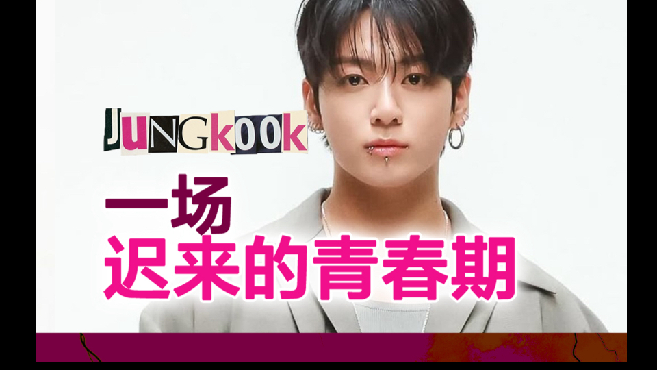 聊田柾国的成功学