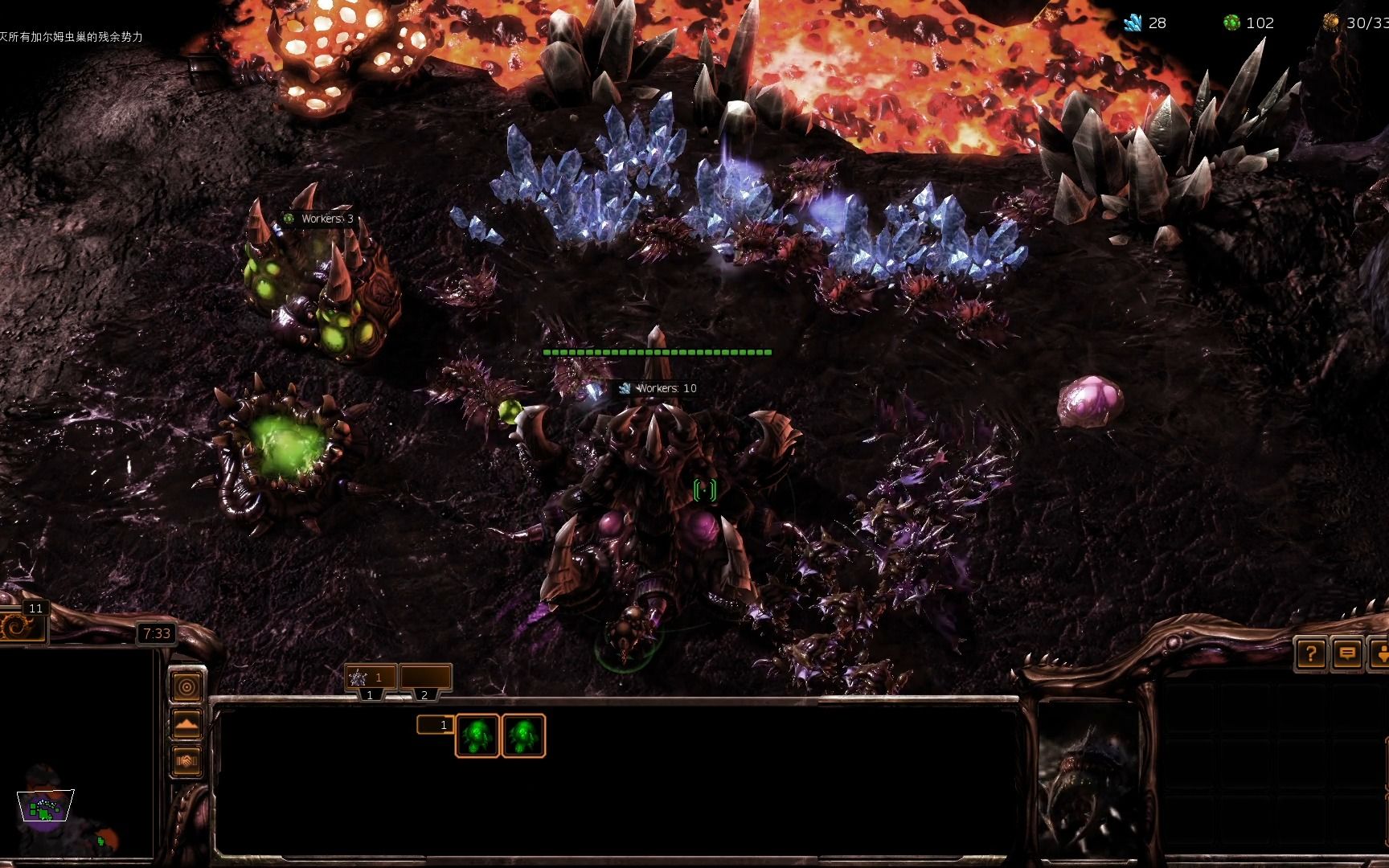 星际争霸1-异虫主宰-07优胜劣汰