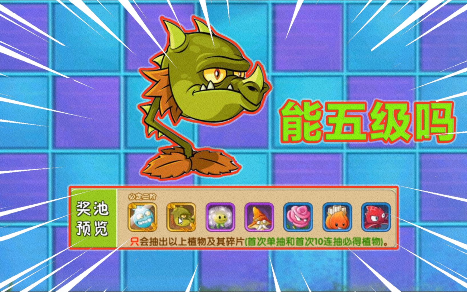 pvz2限时抽奖终于更新火龙草这是距离五级最近的一次我们充