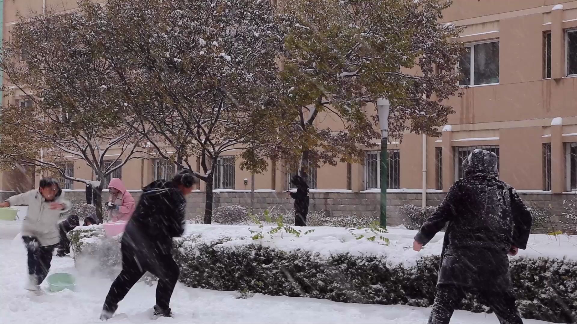 带大家看一看东北的雪哔哩哔哩bilibili