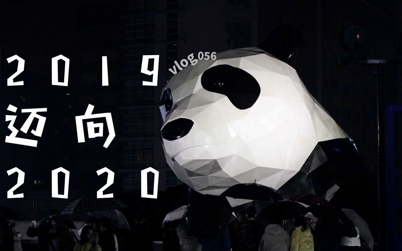 vlog 056——2019迈向2020