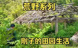 Download Video: 一口气看完荒野系列【刚子的田园生活】一个破旧的废弃房，被改造成田园小屋！