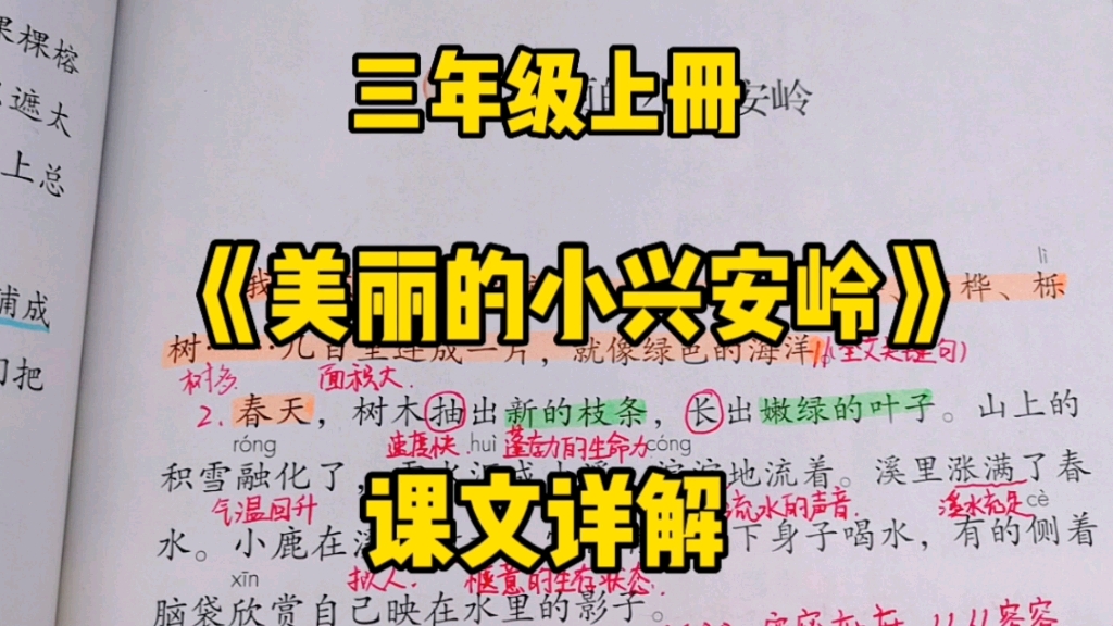 [图]三年级语文上册：《美丽的小兴安岭》课文详解，了解一下课文结构，欣赏一下小兴安岭的春夏秋冬！