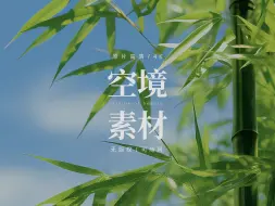 Descargar video: 【免版权空镜】夏日竹林自然风景素材