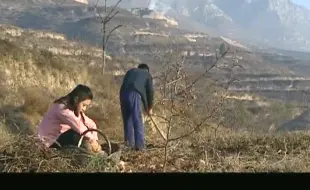 Descargar video: 女孩被拐到穷山僻壤想逃跑，没想到男人起疑还是被抓住了