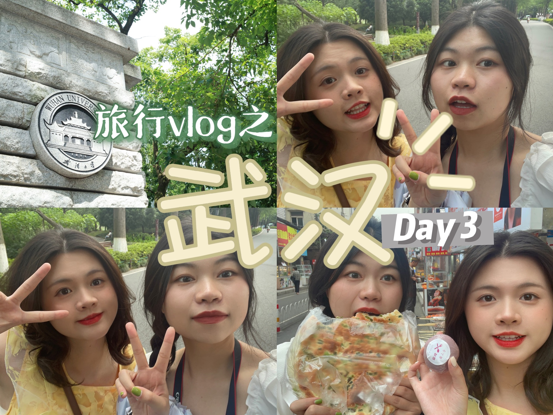 旅行vlog之武汉|Day3 去臻姐学校 东湖骑车体验 吃吃喝喝 再见啦武汉哔哩哔哩bilibili