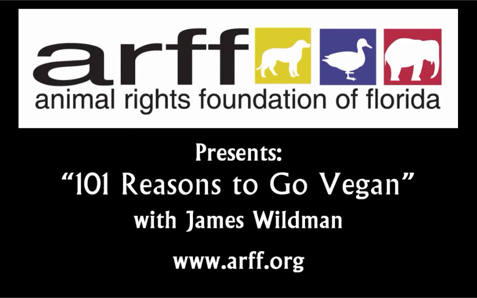 【素食主义/英文】101 Reasons to Go Vegan  Presentation 【油管搬运】哔哩哔哩bilibili