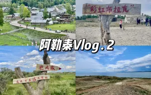 Download Video: 阿勒泰Vlog｜去到了彩虹布拉克 我想我会记得阿勒泰的夏天