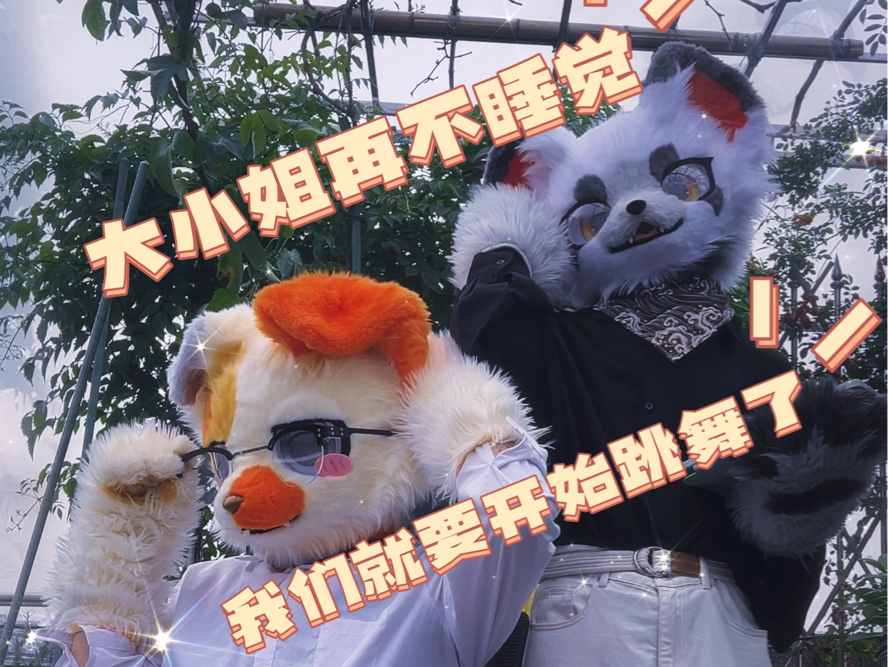「fursuit dance」呀嘞呀嘞,拦不住的大小姐