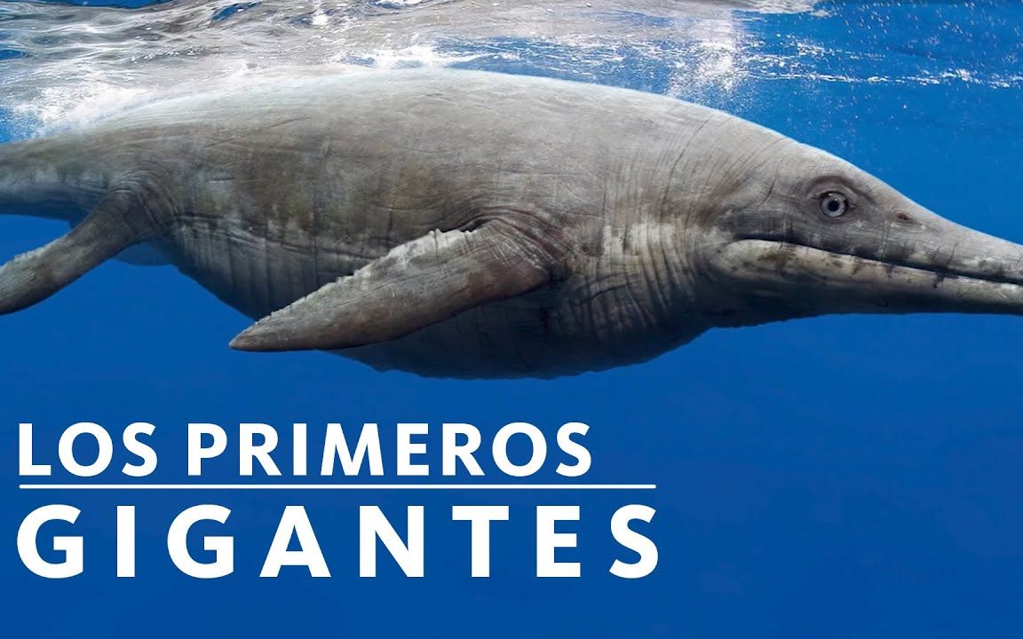 [图]Los Primeros Gigantes del Océano!