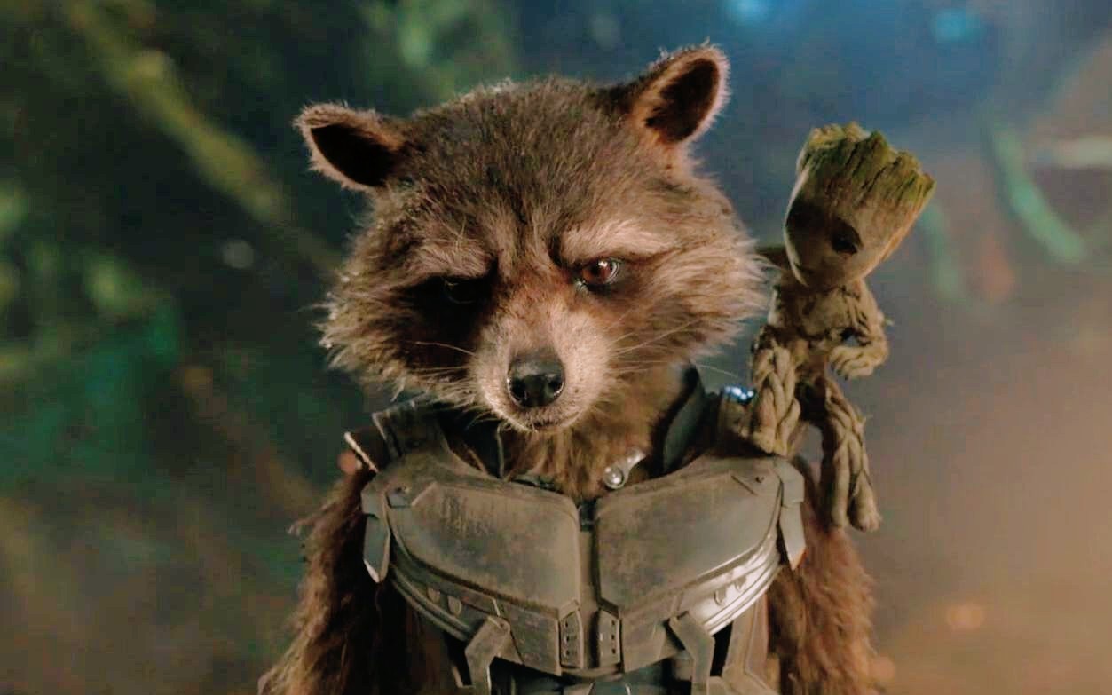 《银河护卫队3》剧情导读:最悲惨的火箭究竟经历了如何的颠沛流离?