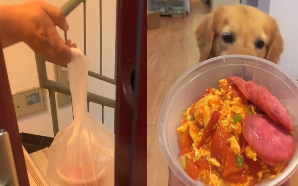孕妻想吃外卖,丈夫角色扮演厨师兼骑手送餐,围观的狗子表情亮了