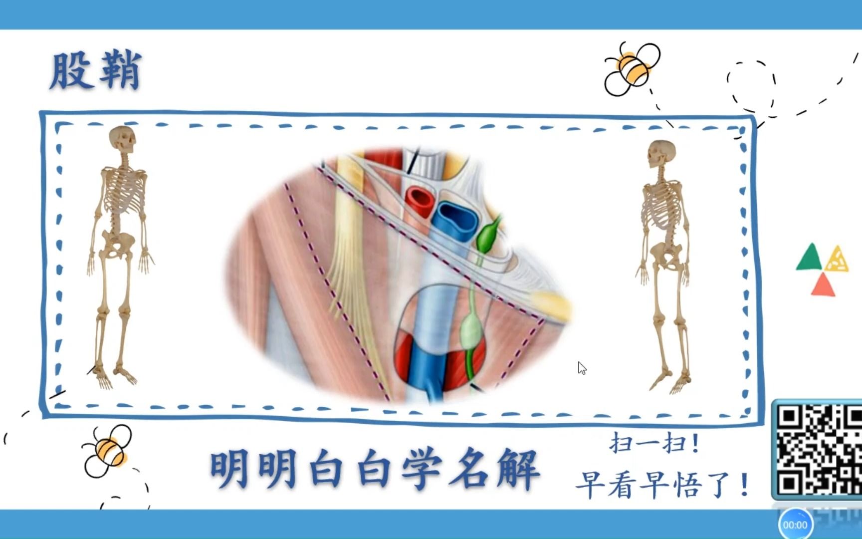 [图]明明白白学名解—股鞘（局部解剖学）