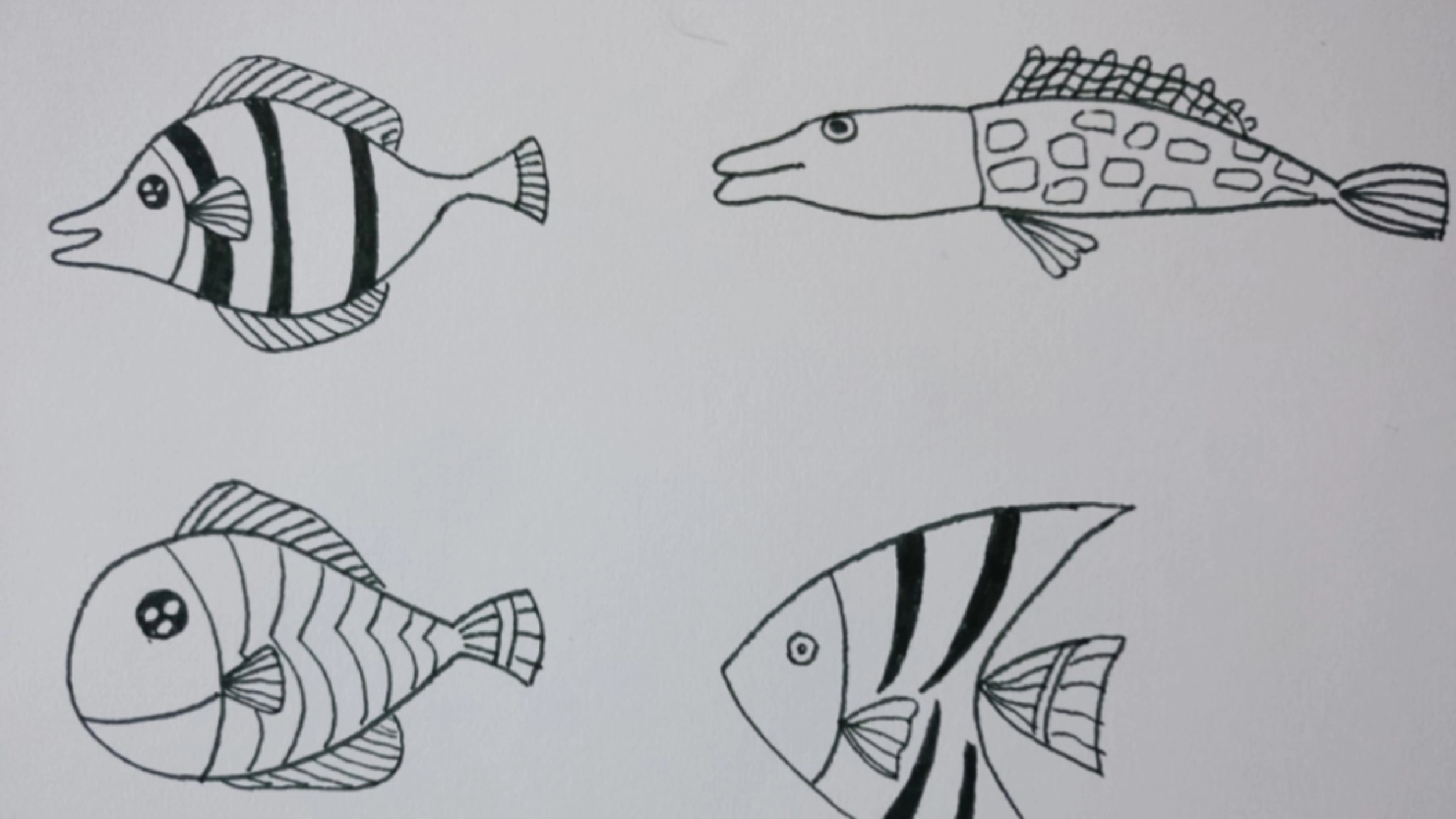 海鱼的简笔画图片