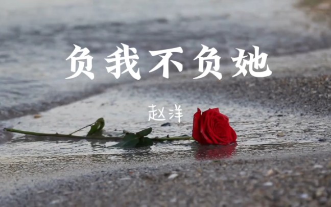 [图]《负我不负她》-完整版 赵洋 #音乐分享 #负我不负她 #负我不负她赵洋