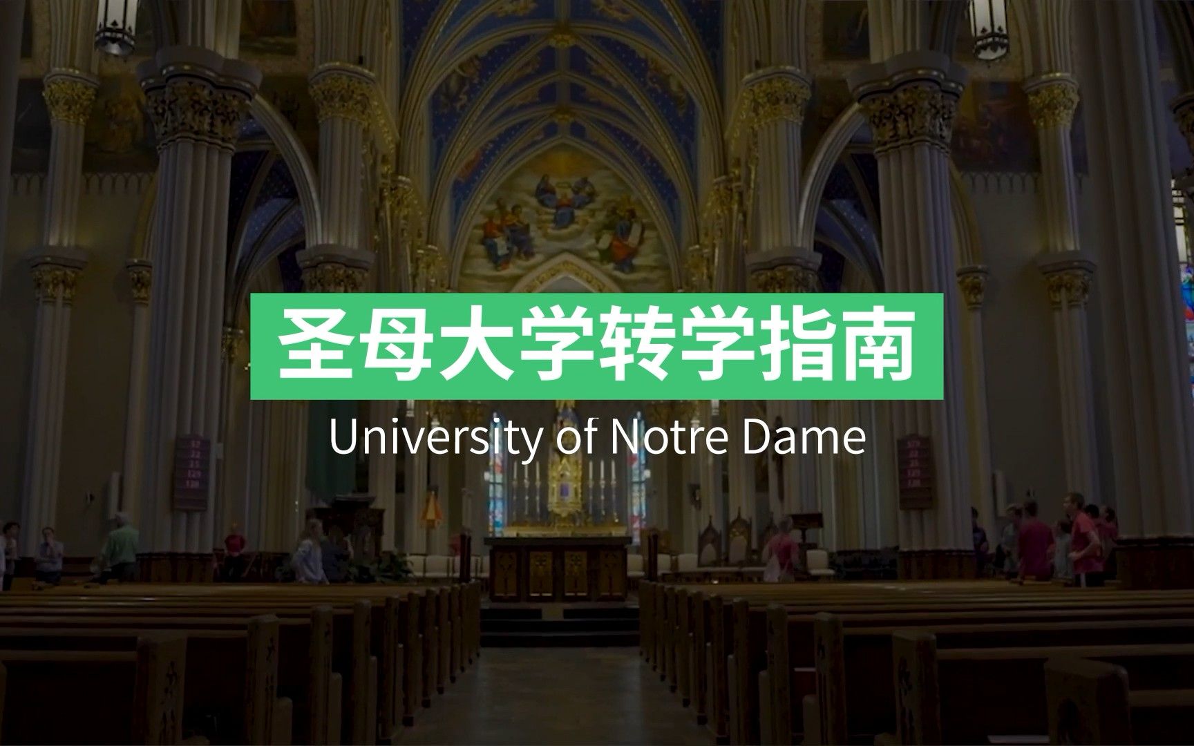 圣母大学 Notre Dame 转学申请攻略!哔哩哔哩bilibili