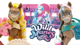 下载视频: 【Wild Manes】马车套组玩具官方宣传片