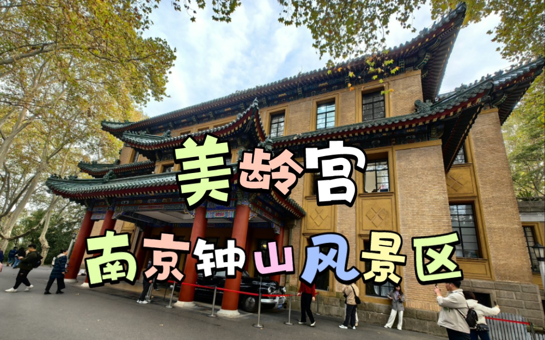 南京钟山风景区美龄宫,秋日里探寻那串"项链",赏梧桐树之美,不少游客