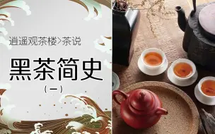 Download Video: 全解黑茶简史