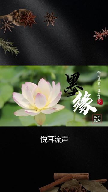 经典古琴曲《墨缘》,静心禅音一曲忘尘俗,茶语禅定佛乐纯音乐哔哩哔哩bilibili