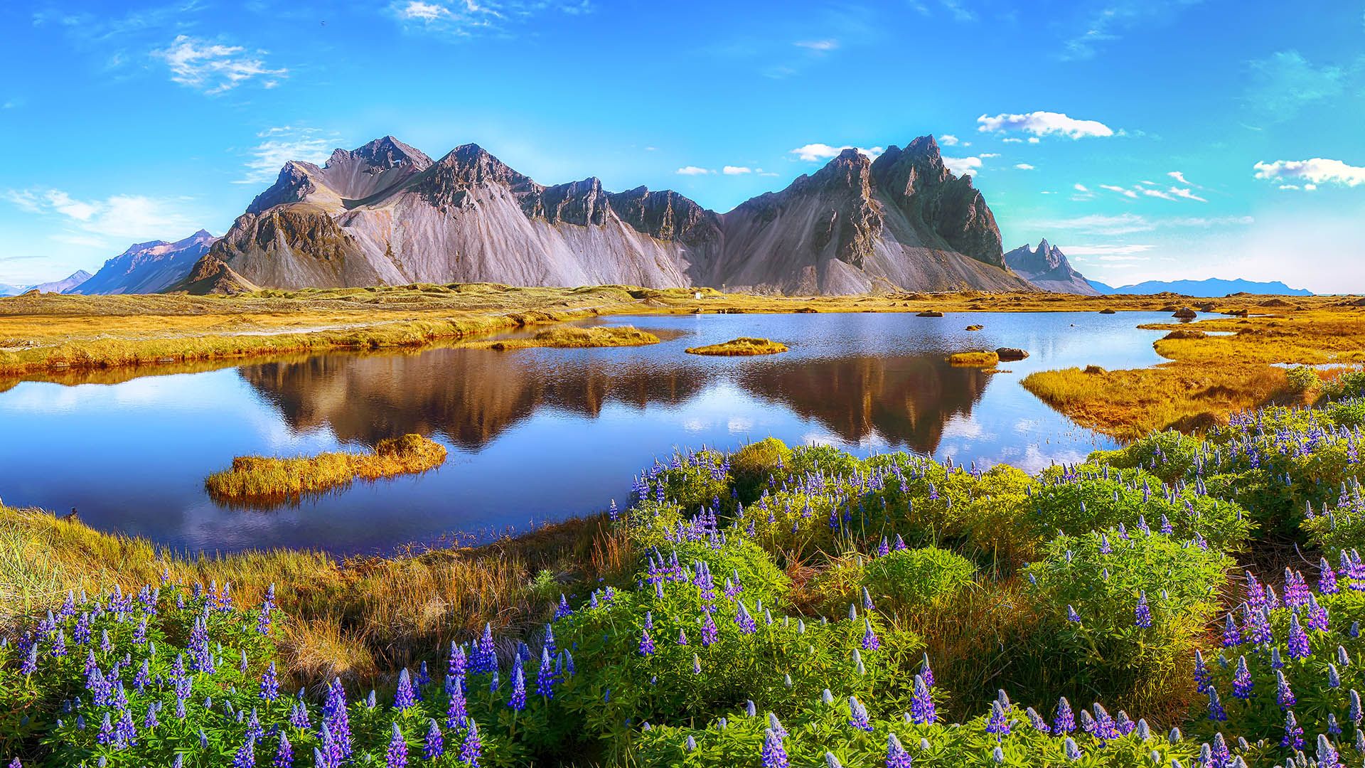 冰岛,斯托克斯内斯岬角上的 vestrahorn 山(08 pilat666/ adobe