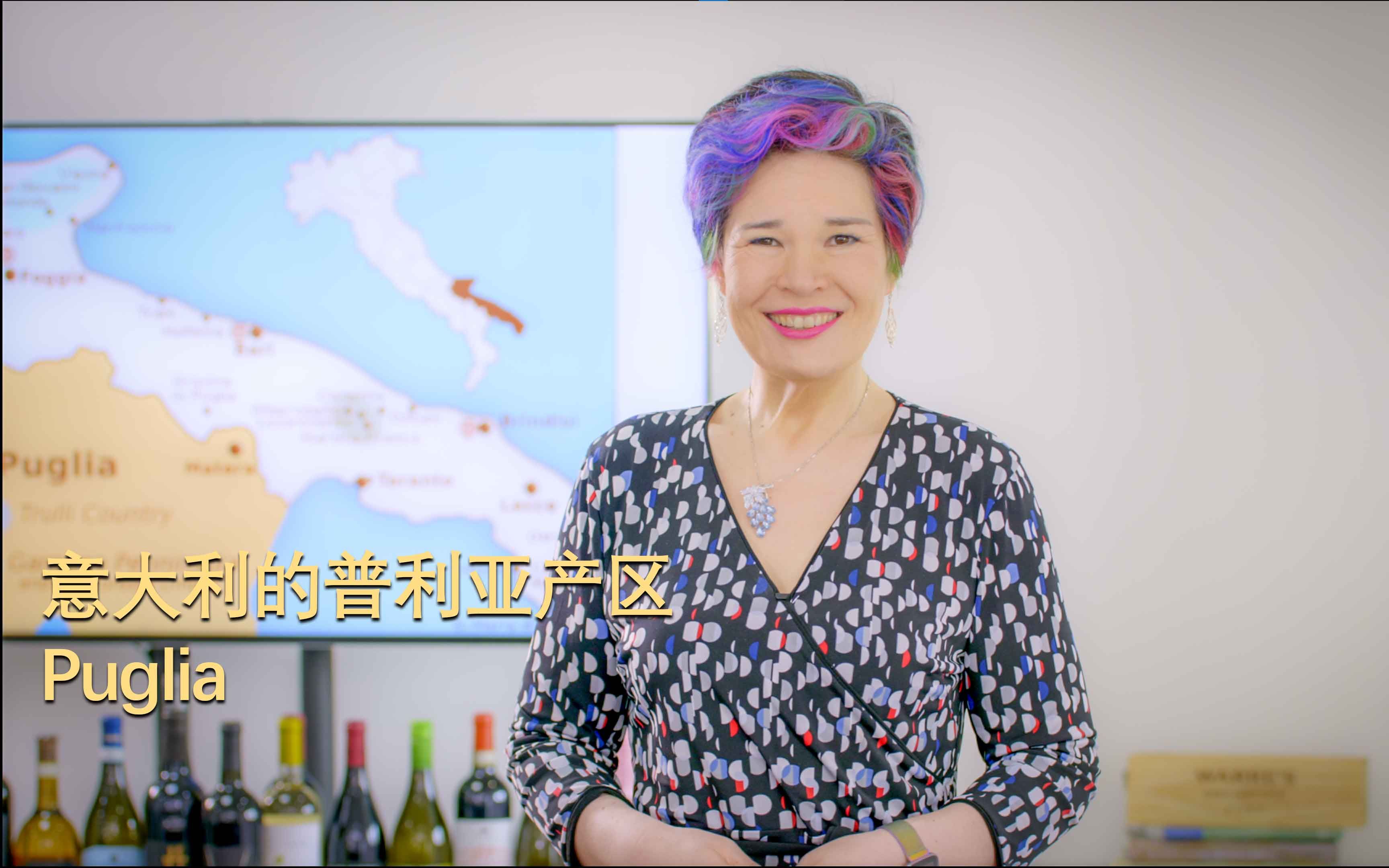 葡萄酒之旅Carpe Vinum EP7:意大利的普利亚产区Puglia哔哩哔哩bilibili