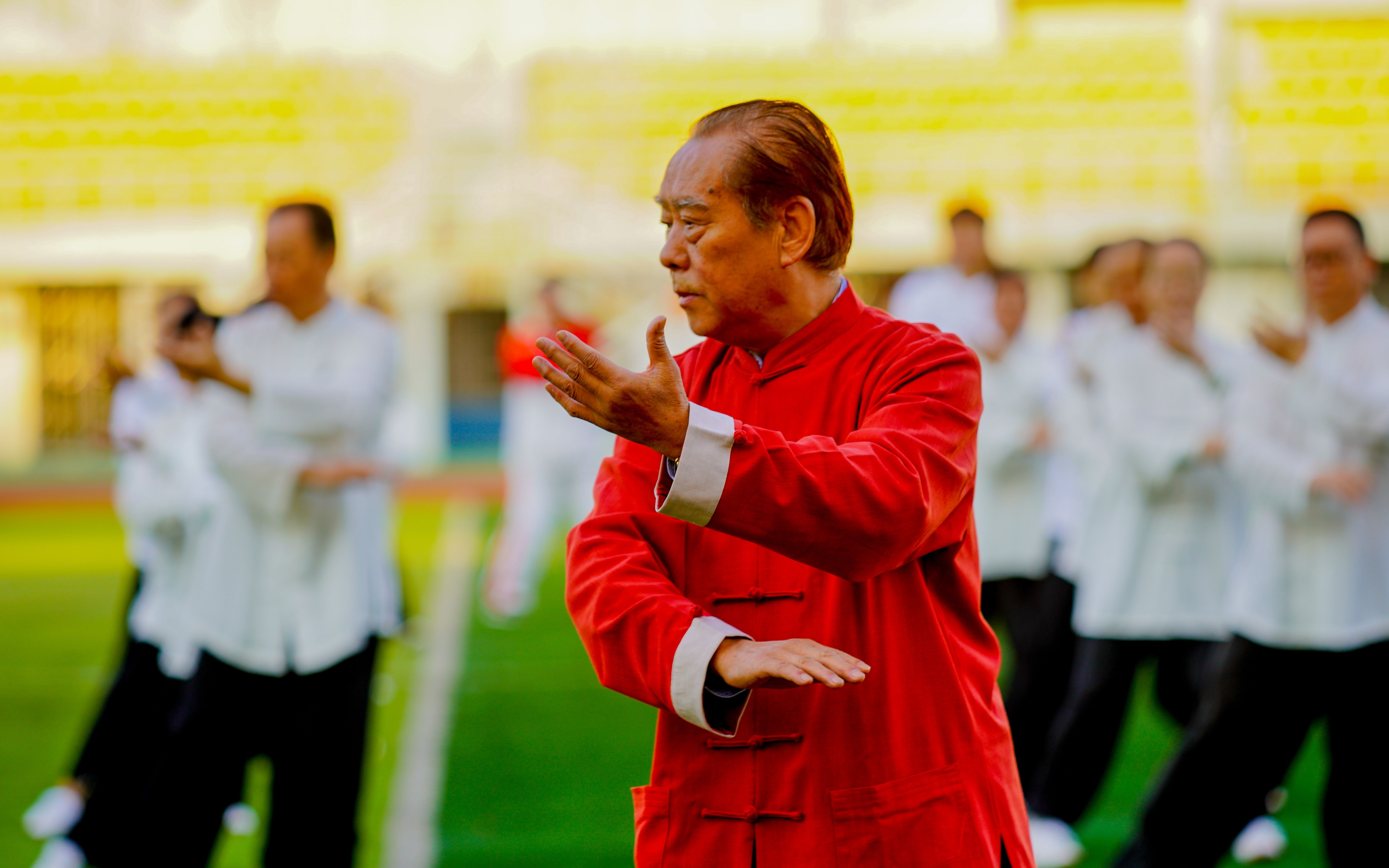 85式杨氏太极拳