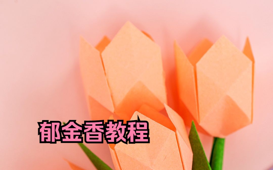 郁金香叶子折纸图片