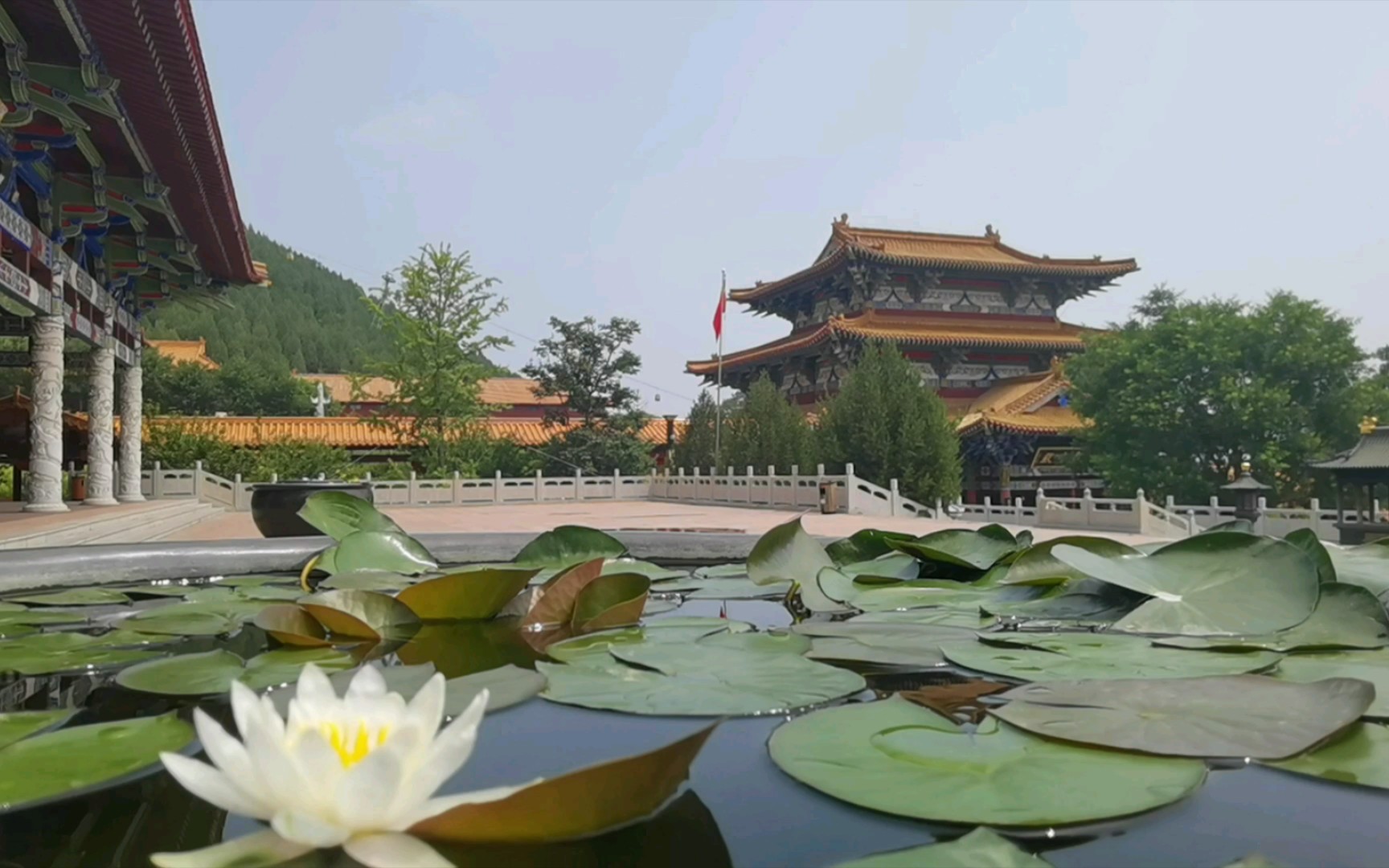 [图]青州龙兴寺