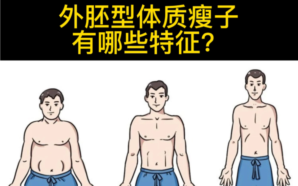 你是不是跟我一样是个外胚型体质瘦子呢?