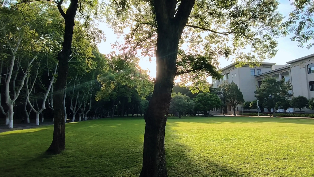 华中科技大学图书馆门外的草坪