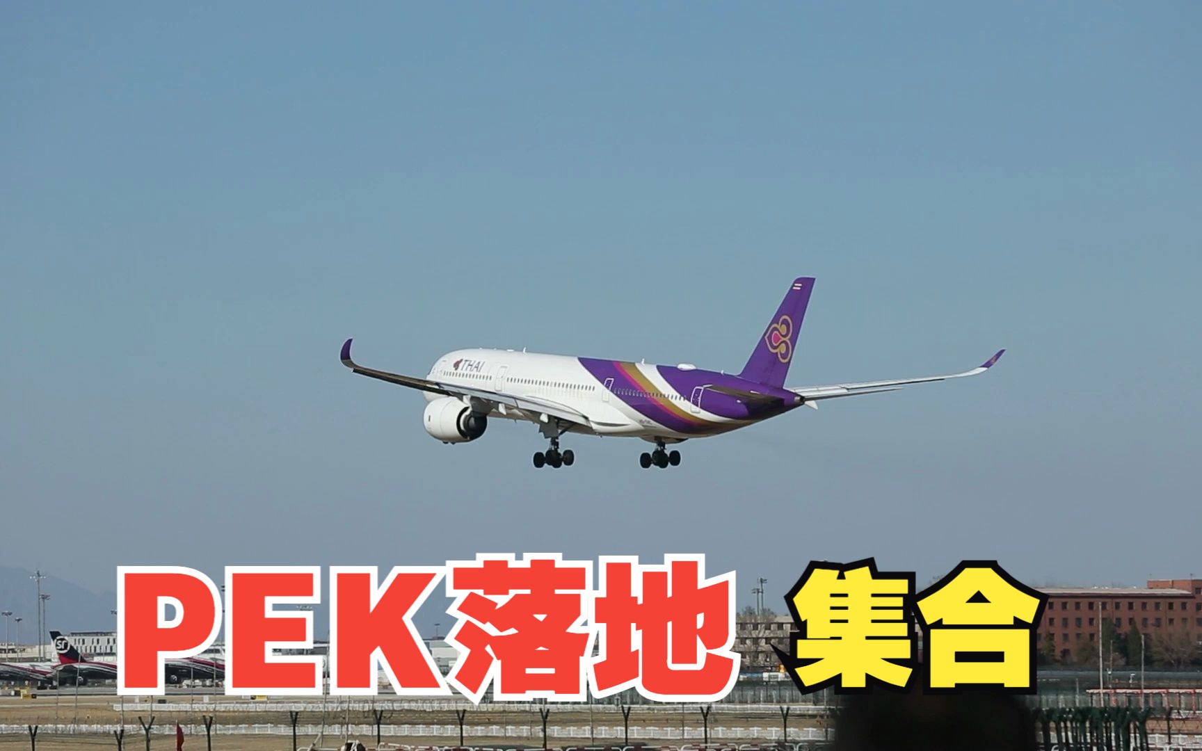 泰航、国航737MAX等首都机场落地集合哔哩哔哩bilibili