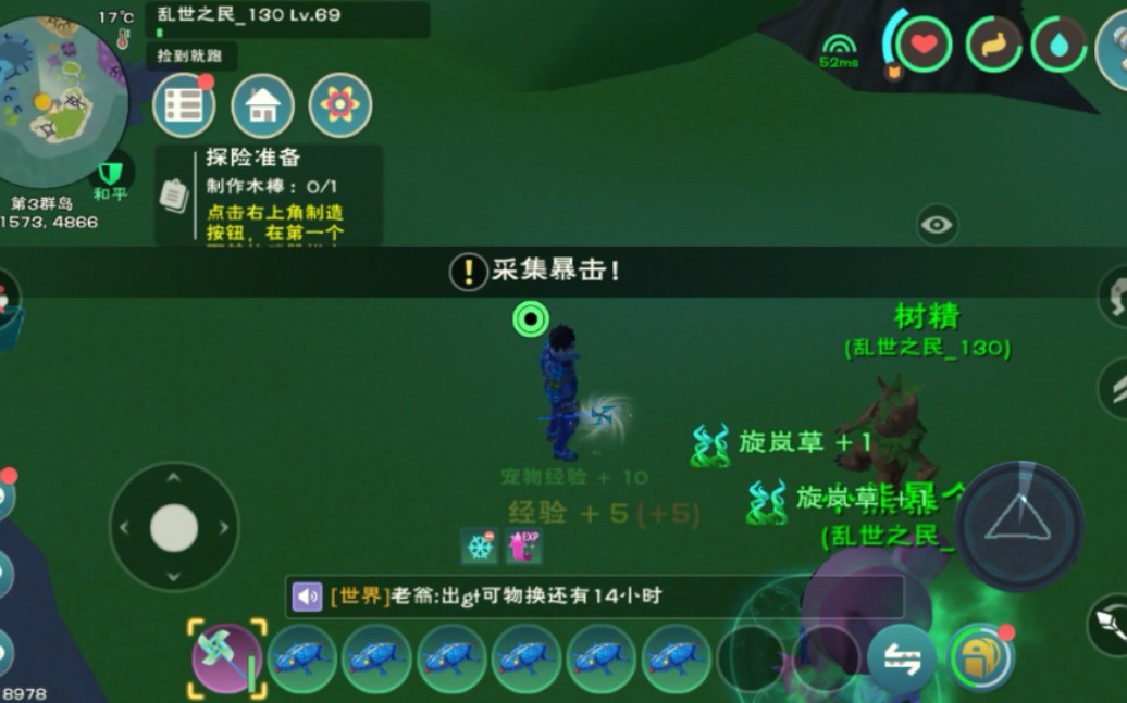 创造与魔法旋岚草