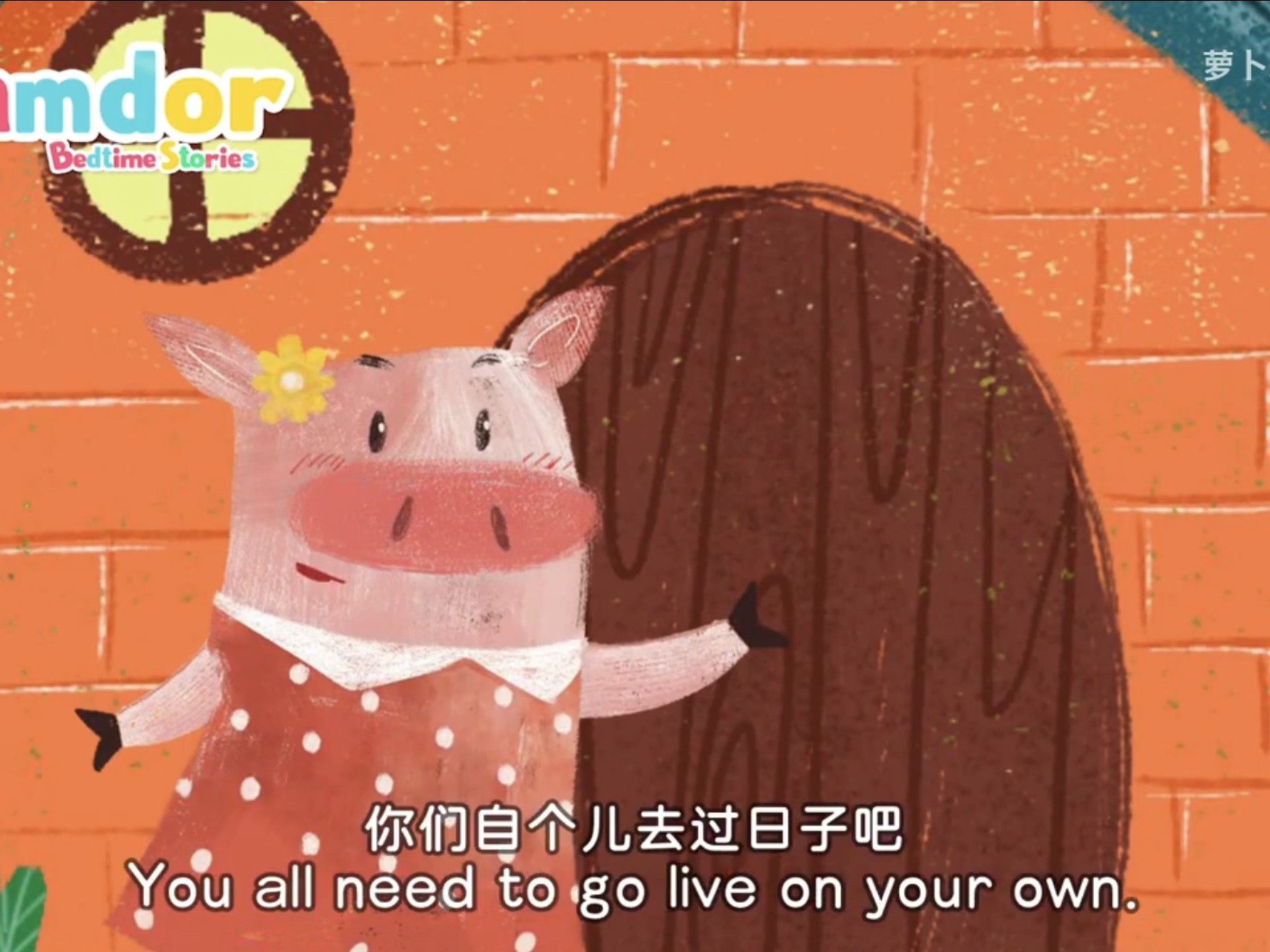 the three little pigs 三只小猪