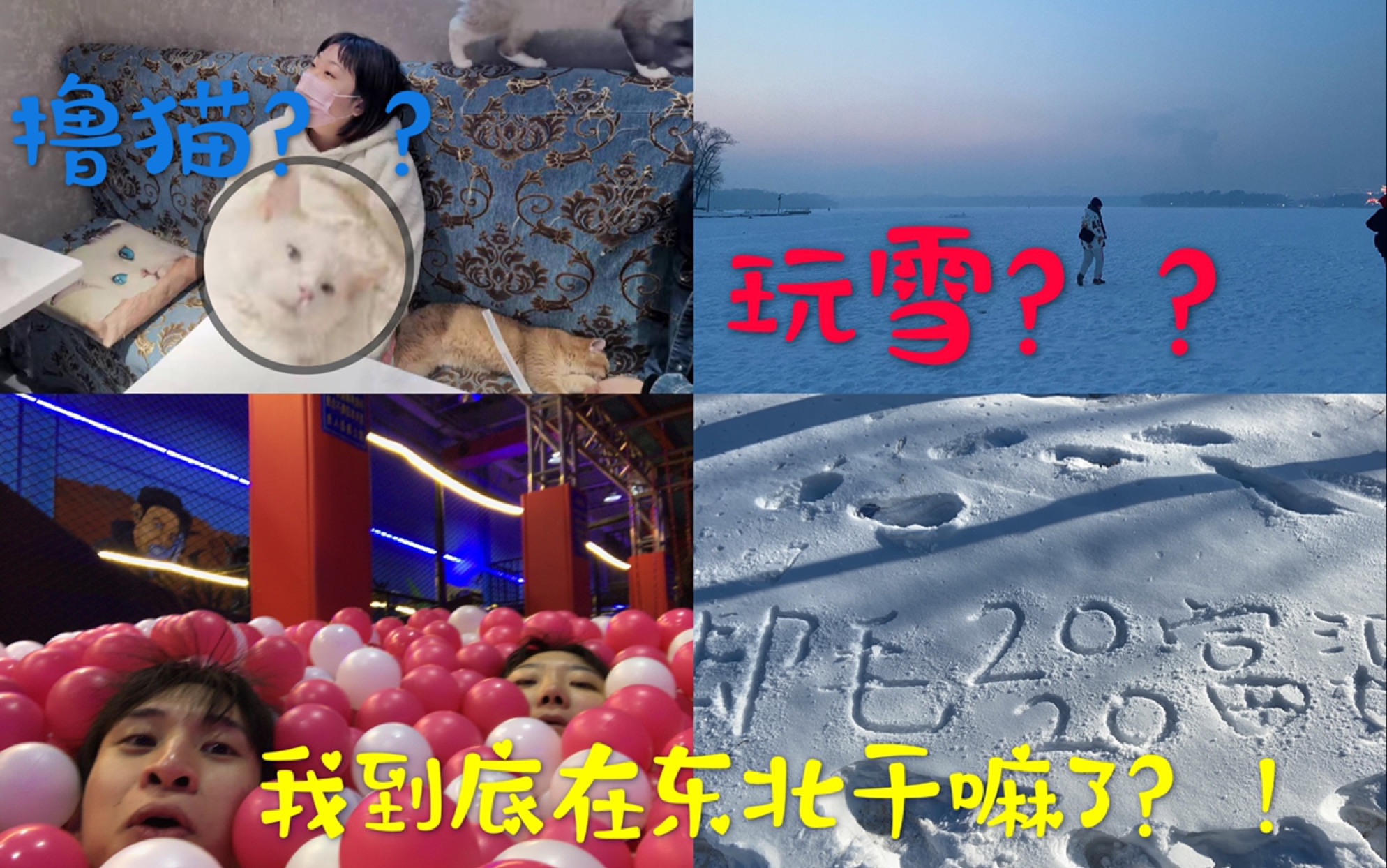 [图]【东北vlog】六天回顾大学四年？！毕业后才看到最美的长春？！广东社畜裸辞回到大东北怀抱