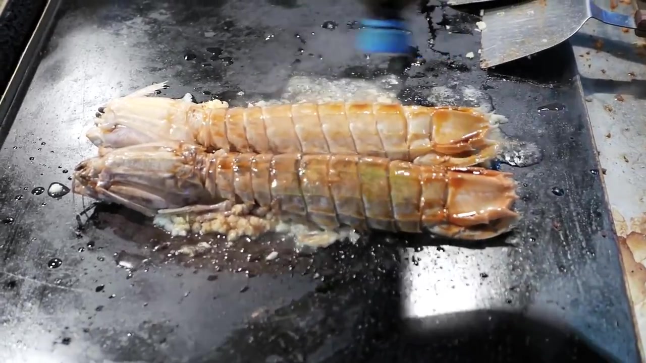 中国台湾铁板皮皮虾濑尿虾