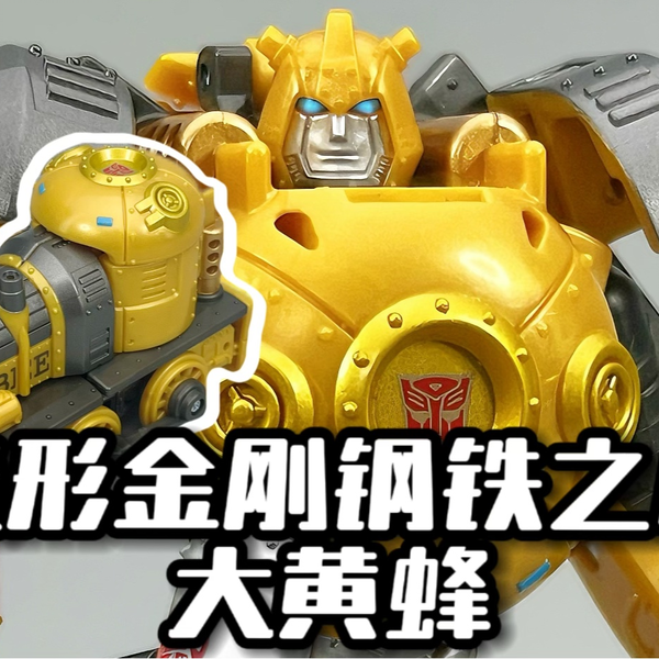 文玩 ルドラクシャ 五つ星蜂王金剛菩提腕輪 23mm 大玉 五星蜂王大金刚 文玩 ルドラクシャ 五つ星蜂王金剛菩提腕輪 23mm 大玉 五星蜂王