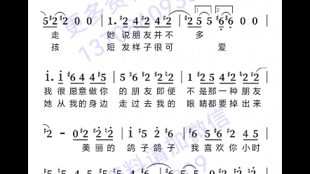 半音階口琴專用固定調c調曲譜集200首新的半音階口琴專用固定調c調